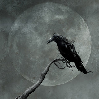 The Raven Moon