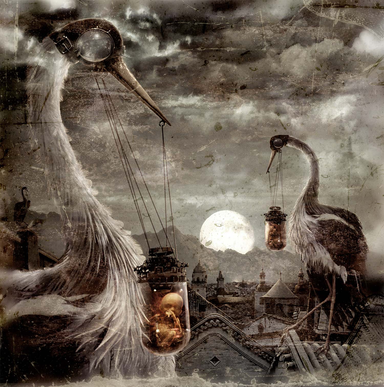 Storks ~ Exclusive Limited Edition