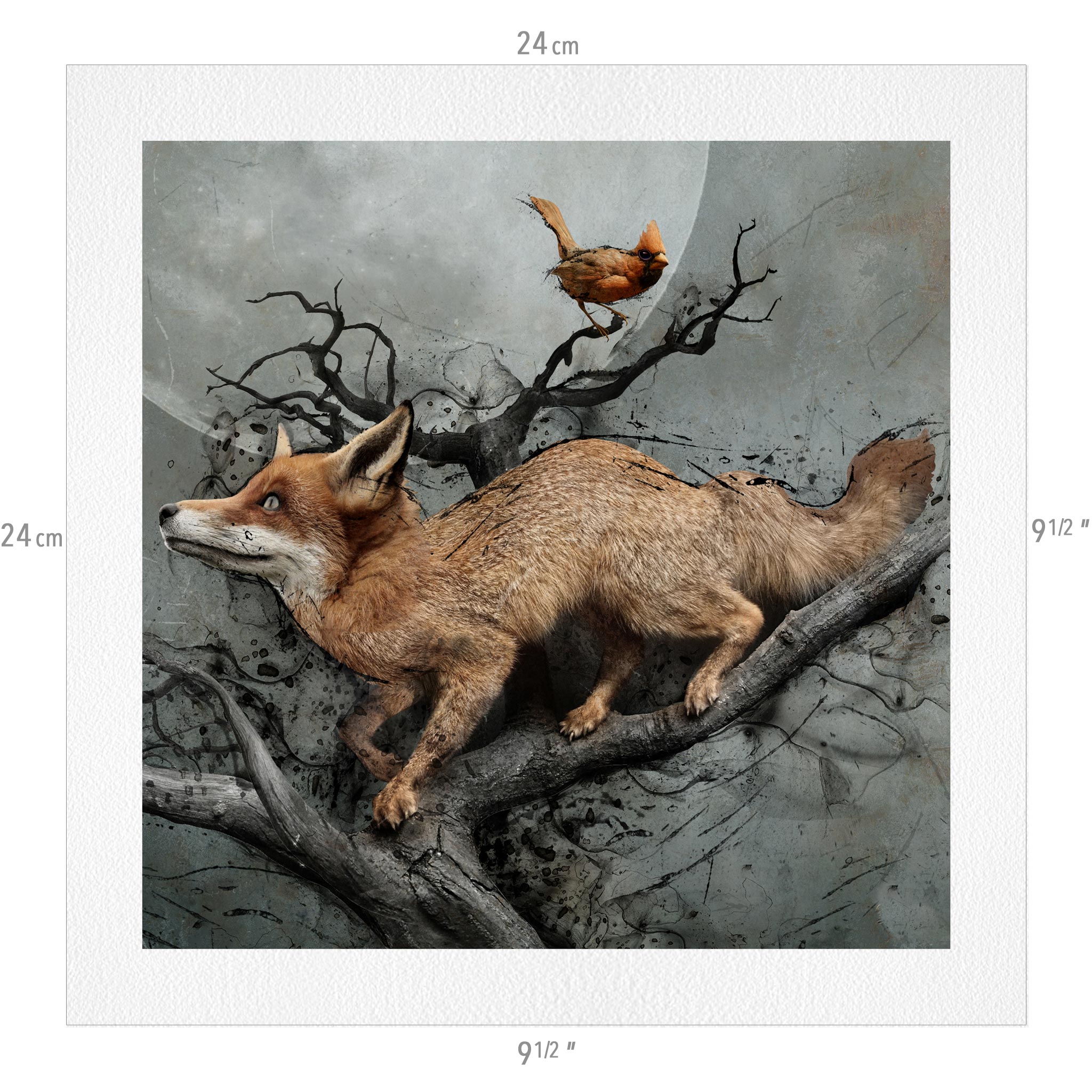 The Entire Animalia Collection
