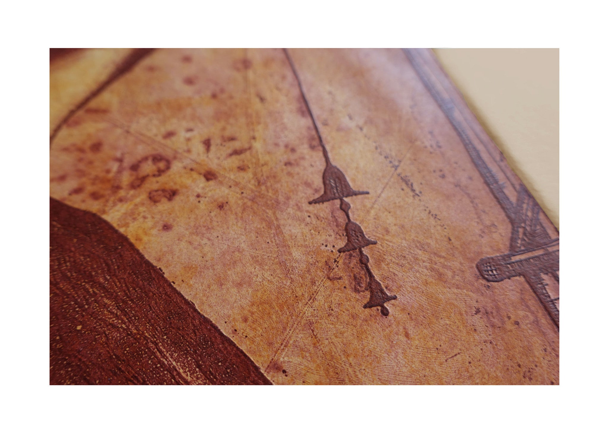 If Alice Had a Pet Bird