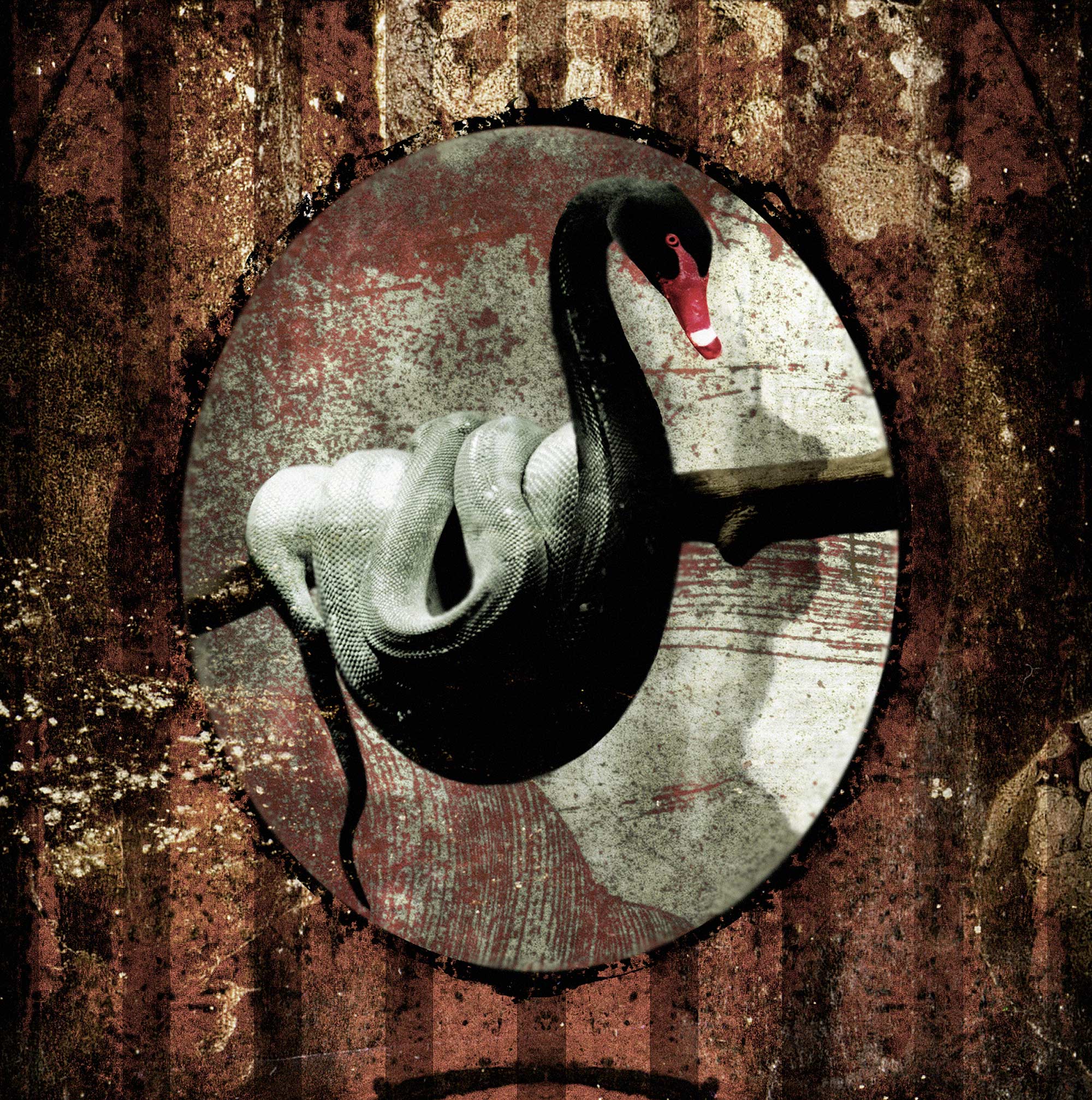Pyswan