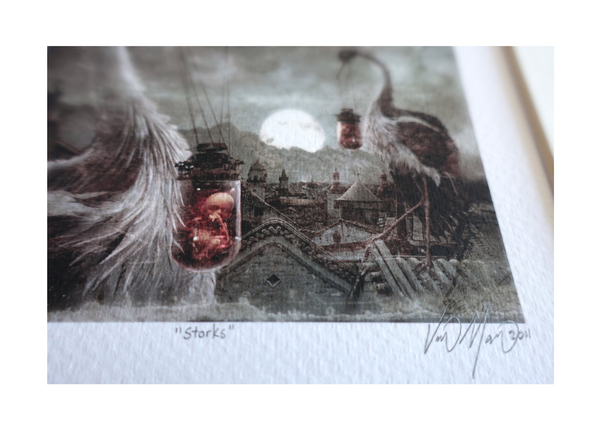 Storks ~ Limited Edition