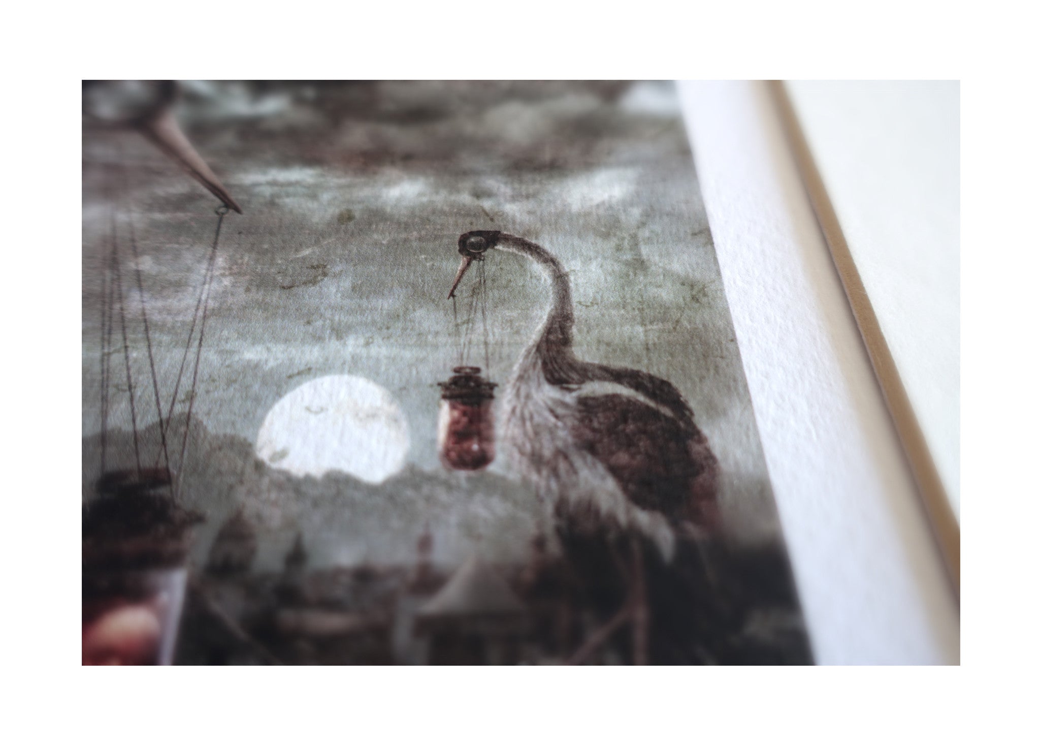 Storks ~ Limited Edition