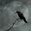 The Raven Moon